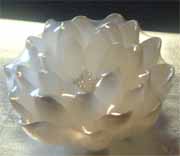 Bl�te, weiss-silber