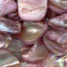 Perlmutt 15 St�ck, violett