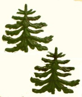 Tannenbaum, gro�