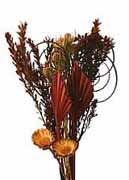 Natur-Bouquet,
braun