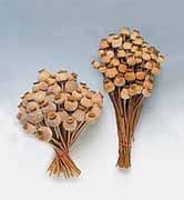 Mohnkapseln, 50 St�ck